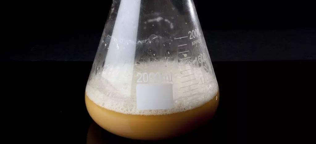 酵母發(fā)酵起泡是怎么回事，怎么處理這些泡沫？